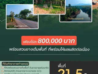 For sale land in Thong Pha Phum, Kanchanaburi