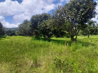 For sale land in Ko Samui, Surat Thani