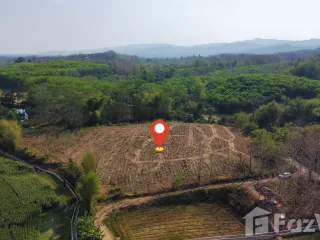 For sale land in Chiang Klang, Nan
