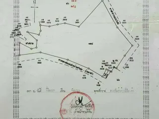 For sale land in Loeng Nok Tha, Yasothon
