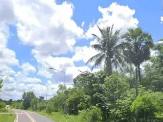 For sale land in Loeng Nok Tha, Yasothon