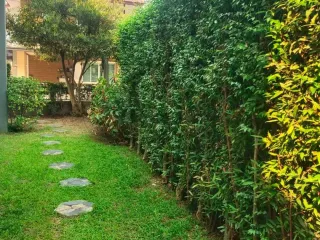For sale 3 bed house in San Kamphaeng, Chiang Mai