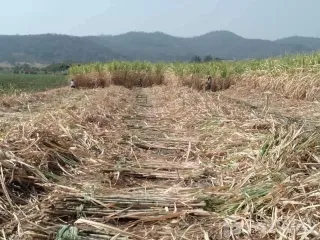 For sale land in Khok Charoen, Lopburi