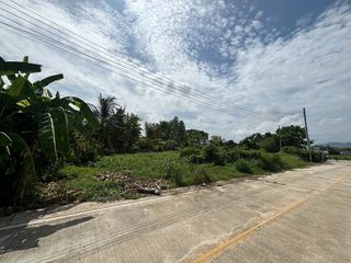 For sale land in Thalang, Phuket