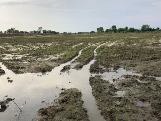 For sale land in Mueang Prachinburi, Prachin Buri