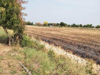 For sale land in Song Phi Nong, Suphan Buri