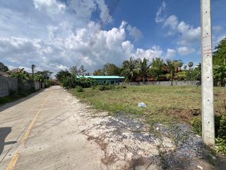 For sale land in Thalang, Phuket