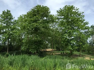For sale land in Photharam, Ratchaburi