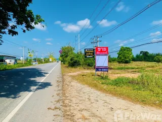 For sale land in Mueang Lamphun, Lamphun