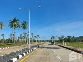 For sale land in Takua Thung, Phang Nga