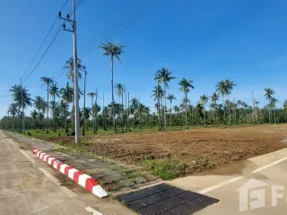 For sale land in Takua Thung, Phang Nga