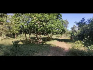 For sale land in Mueang Nong Khai, Nong Khai