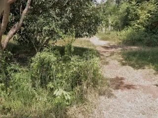 For sale land in Mueang Nong Khai, Nong Khai