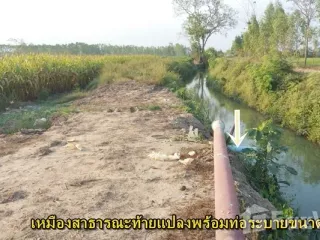 For sale land in Bueng Samakkhi, Kamphaeng Phet