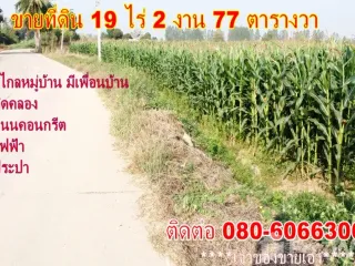 For sale land in Bueng Samakkhi, Kamphaeng Phet