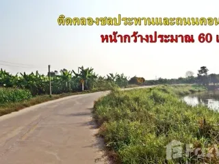 For sale land in Bueng Samakkhi, Kamphaeng Phet