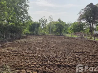 For sale land in Mueang Buriram, Buriram