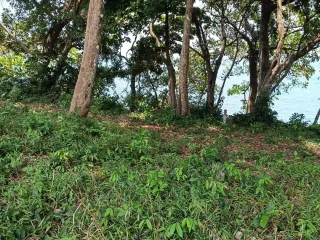 For sale land in Laem Ngop, Trat