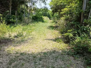 For sale land in Laem Ngop, Trat