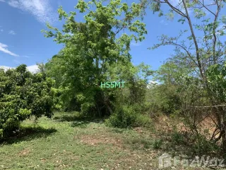 For sale land in Pa Sang, Lamphun