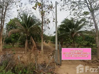 For sale land in Pa Sang, Lamphun