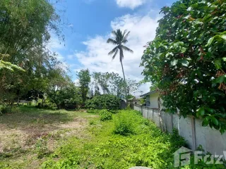 For sale land in Mae Chan, Chiang Rai