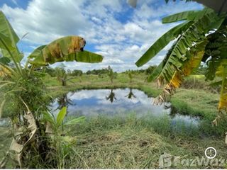 For sale land in Ko Chan, Chonburi