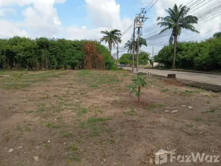 For sale land in Thawi Watthana, Bangkok