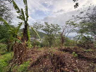 For sale land in Mueang Phuket, Phuket