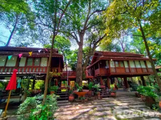For rent 9 bed hotel in Mae Rim, Chiang Mai
