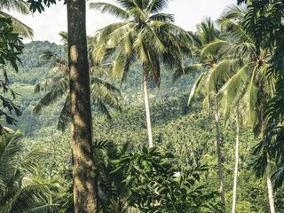 For sale land in Ko Samui, Surat Thani