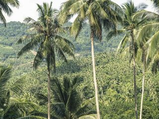 For sale land in Ko Samui, Surat Thani