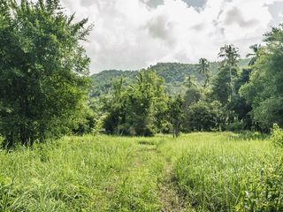 For sale land in Ko Samui, Surat Thani
