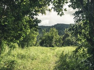 For sale land in Ko Samui, Surat Thani