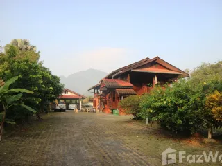 ขาย 4 เตียง บ้านเดี่ยว ใน แม่สาย, เชียงราย