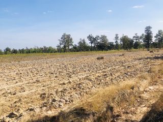 For sale land in Trakan Phuet Phon, Ubon Ratchathani