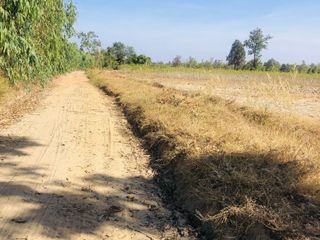 For sale land in Trakan Phuet Phon, Ubon Ratchathani