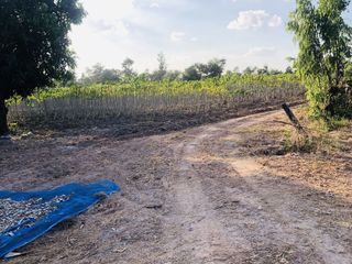 For sale land in Trakan Phuet Phon, Ubon Ratchathani