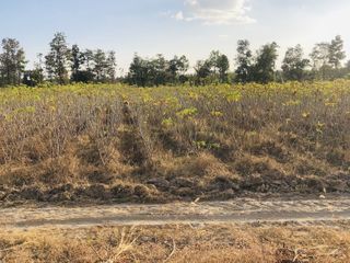 For sale land in Trakan Phuet Phon, Ubon Ratchathani