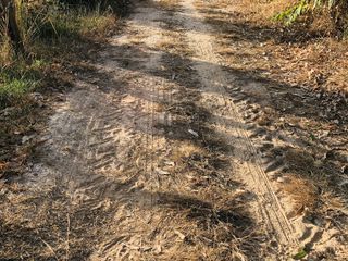 For sale land in Trakan Phuet Phon, Ubon Ratchathani