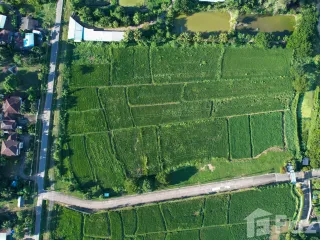 For sale land in Muang Nan, Nan