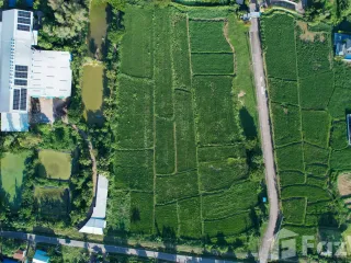 For sale land in Muang Nan, Nan