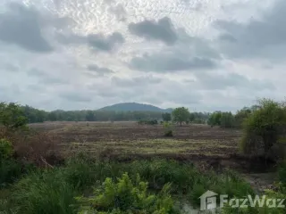 For sale land in Nong Bua, Nakhon Sawan