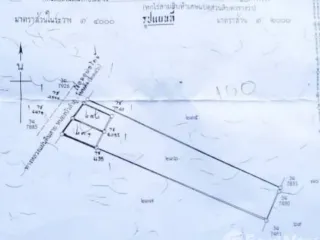 For sale land in Non Sang, Nong Bua Lamphu