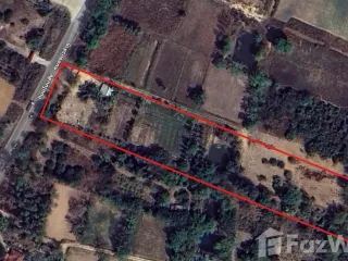 For sale land in Non Sang, Nong Bua Lamphu