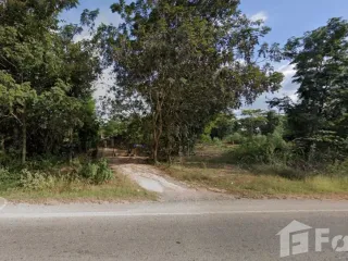 For sale land in Non Sang, Nong Bua Lamphu