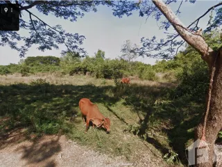 For sale land in Warin Chamrap, Ubon Ratchathani