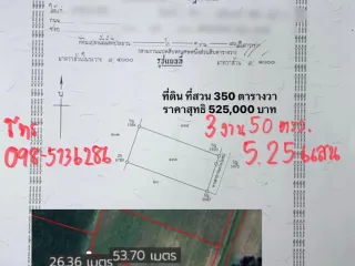 For sale land in Sao Hai, Saraburi