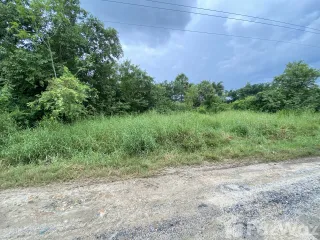 For sale land in Mueang Nakhon Si Thammarat, Nakhon Si Thammarat