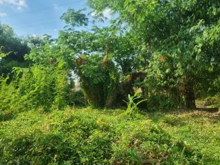 For sale land in Mueang Ubon Ratchathani, Ubon Ratchathani